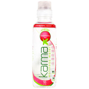 Karma Wellness Water Energy Wellness Water
