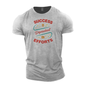 Success is Dependant on Efforts